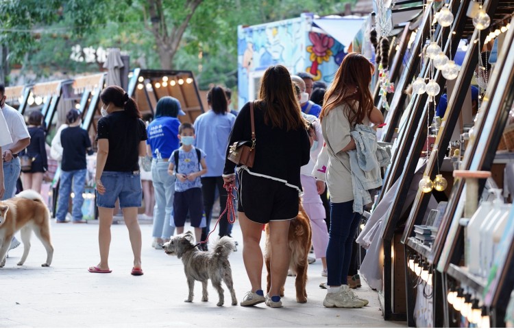 带宠物逛市场，爱宠嘉年华出现在祥云小镇