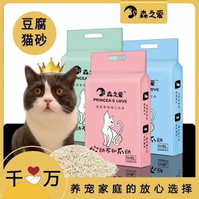 为什么波斯猫逐渐淡出宠物圈网友：原因有这些