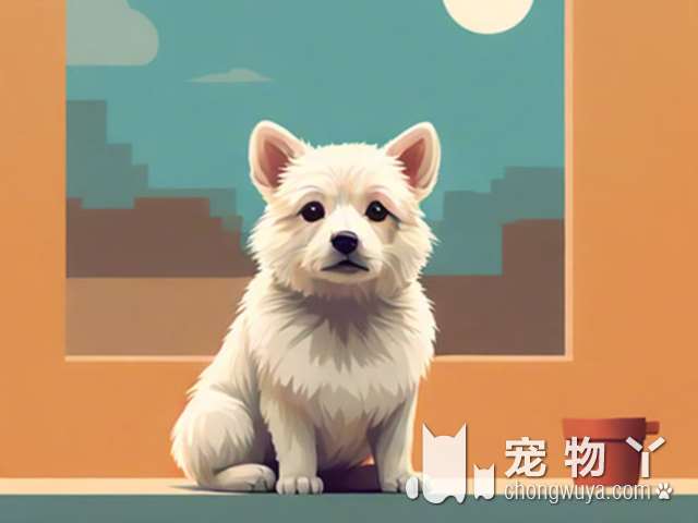 宠物犬直播标签指南